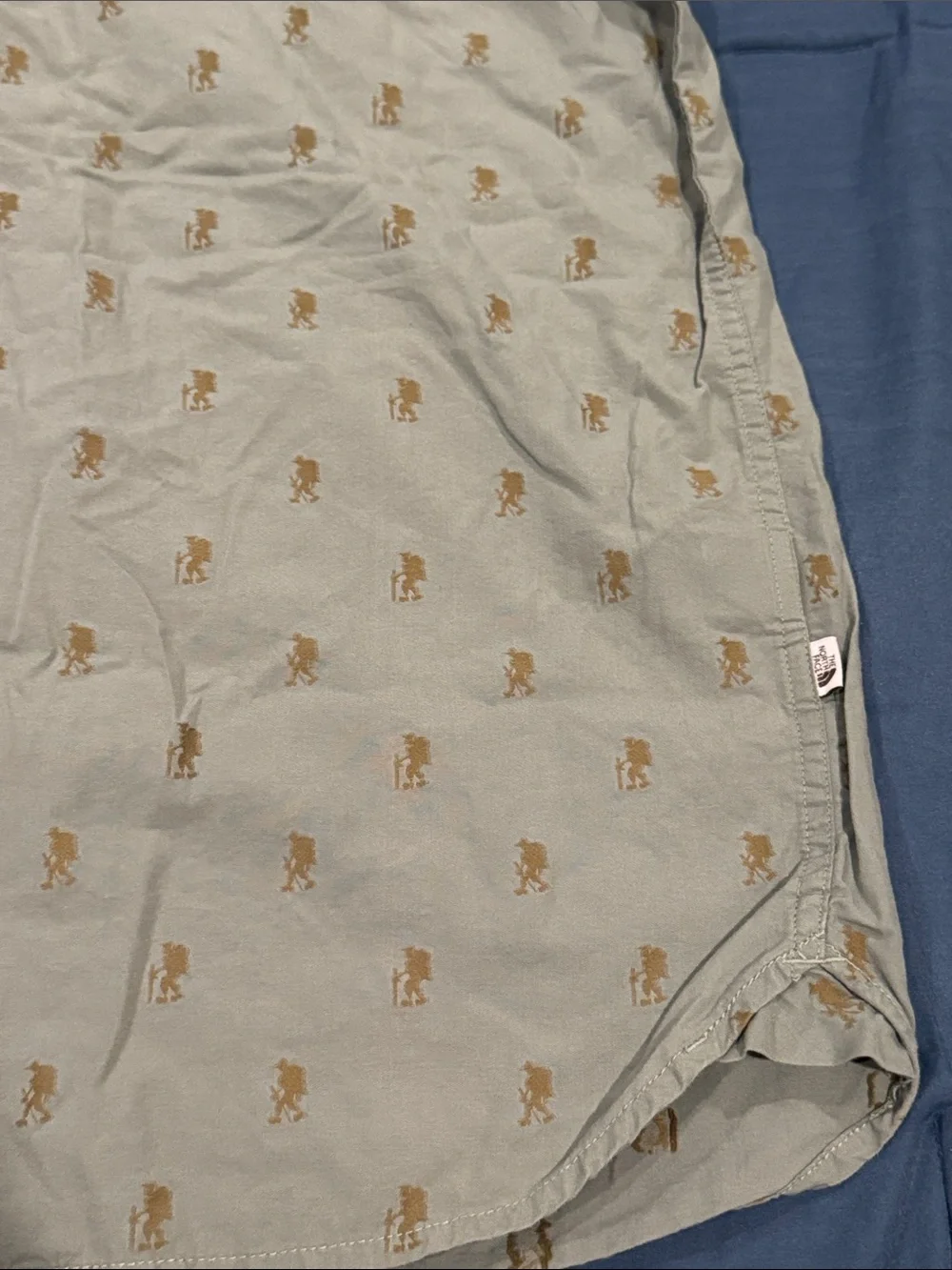 The North Face Light Green Short-Sleeve Button-Up Shirt with green Motif